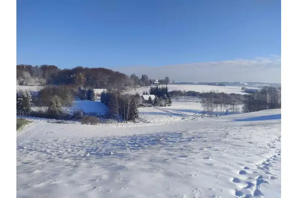 podkarpackie, strzyżowski, Wiśniowa, Różanka, Działka na sprzedaż