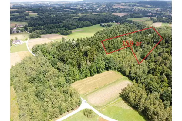 podkarpackie, jasielski, Skołyszyn, Święcany, Sprzedam las Święcany